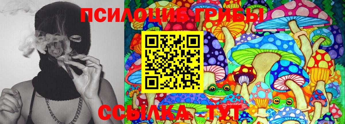 Галлюциногенные грибы Psilocybe Удомля