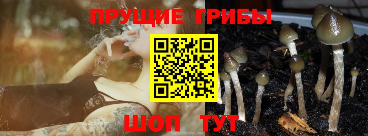 наркошоп  Псилоцибиновые грибы Magic Shrooms  Вход с VPN  Удомля  Псилоцибиновые грибы ЛСД 